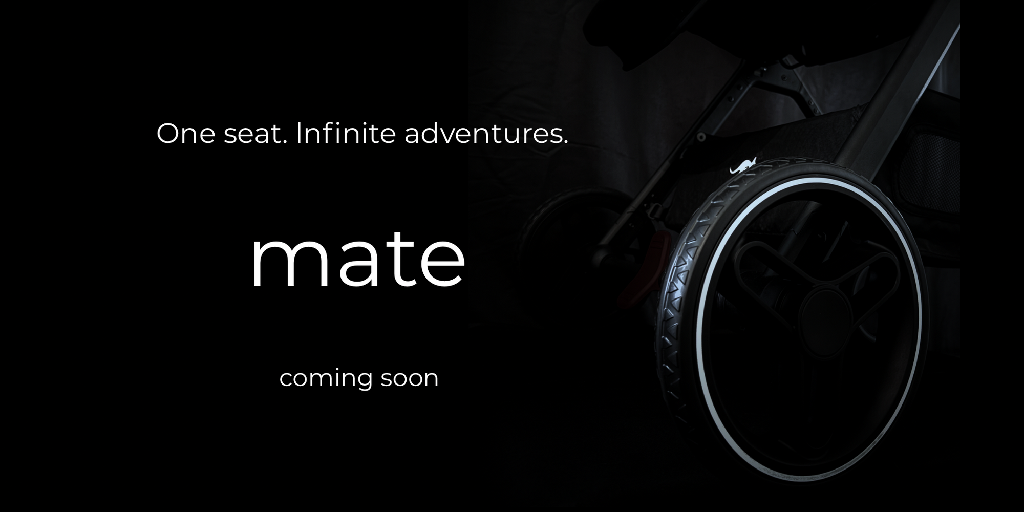 mate_3.png?v=1751540138&width=2000